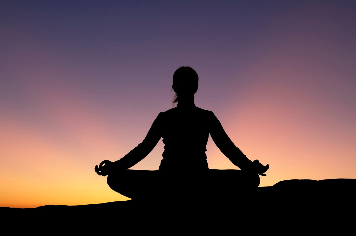 Butterfly Ayurveda Celebrate International Yoga Day