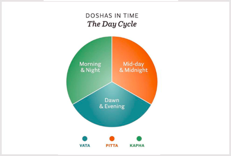 doshas cycle