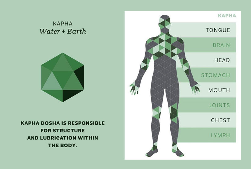 Understanding the Kapha Dosha Butterfly Ayurveda