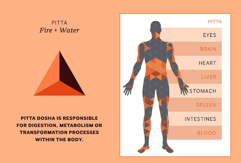 Understanding Pitta Dosha Butterfly Ayurveda